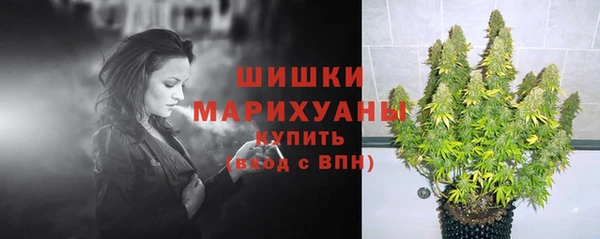 трава Верея