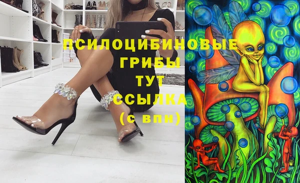 трава Верея