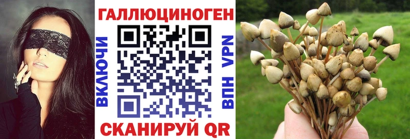 Галлюциногенные грибы Cubensis  Купить где  Волоколамск 
